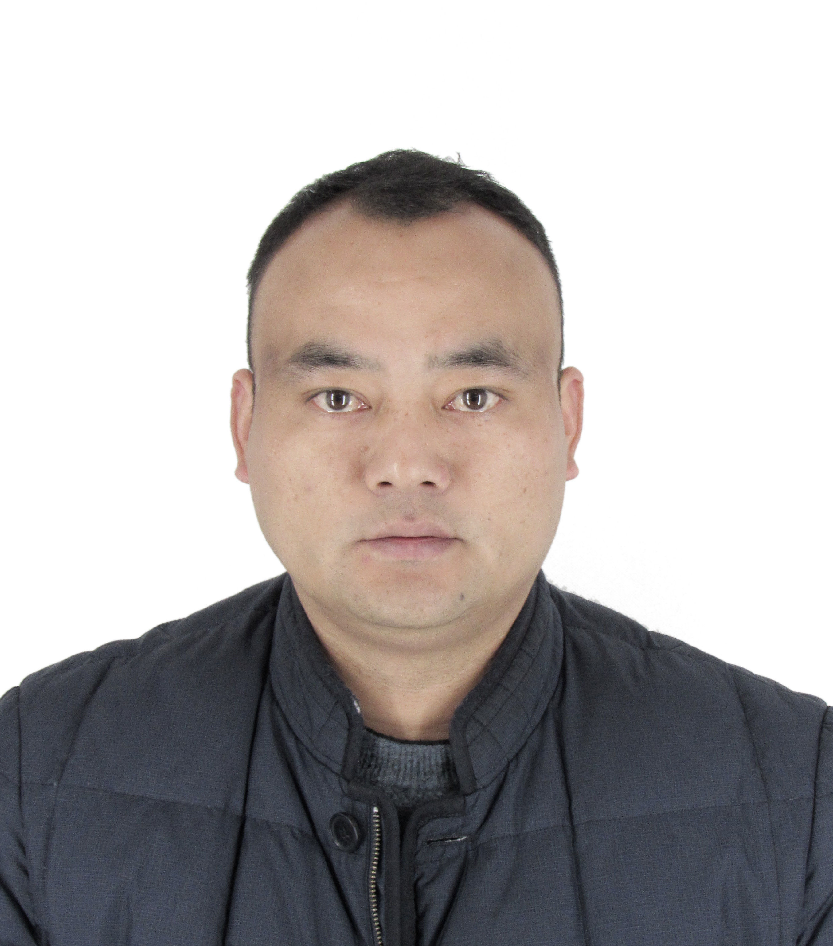副会长苗华雷